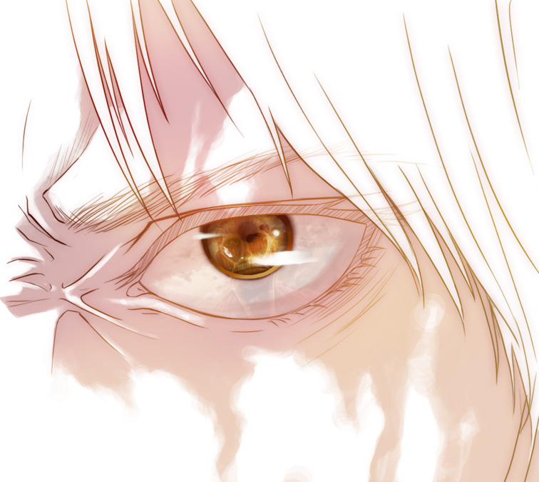 eren yeager, titan, and colossal titan (shingeki no kyojin) drawn by kicchou_(maguro)
