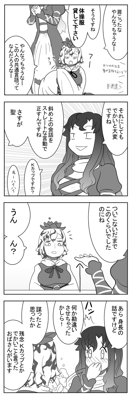 hijiri byakuren and toramaru shou (touhou) drawn by kokoyashi