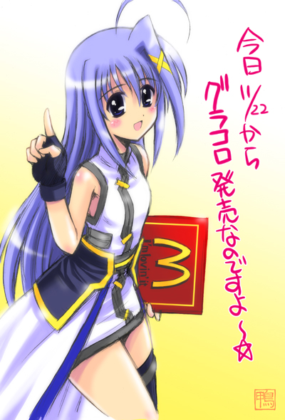 reinforce zwei (lyrical nanoha and 4 more) drawn by kamogawa_tanuki