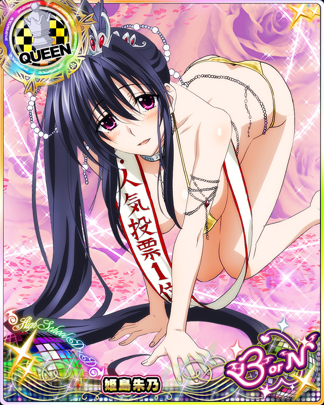 himejima akeno (high school dxd and 1 more)