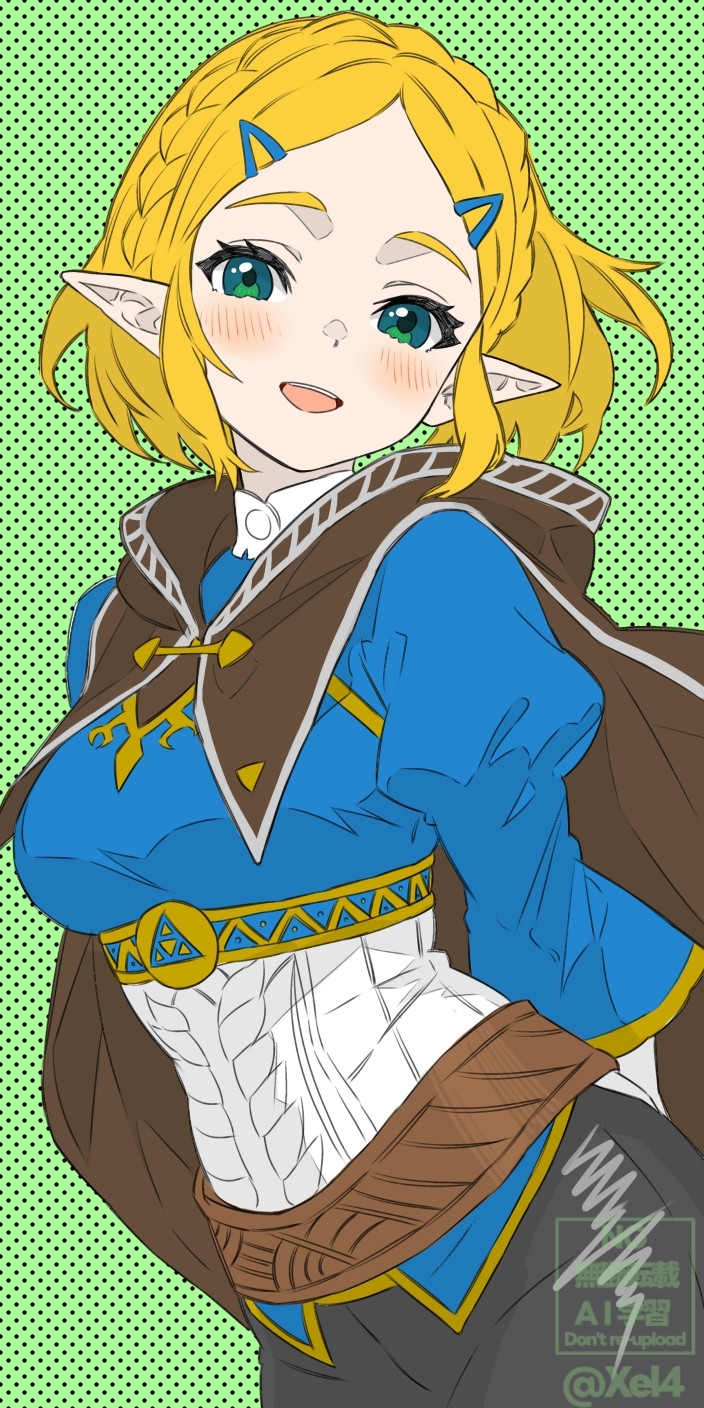 princess zelda (the legend of zelda and 1 more) drawn by xel4