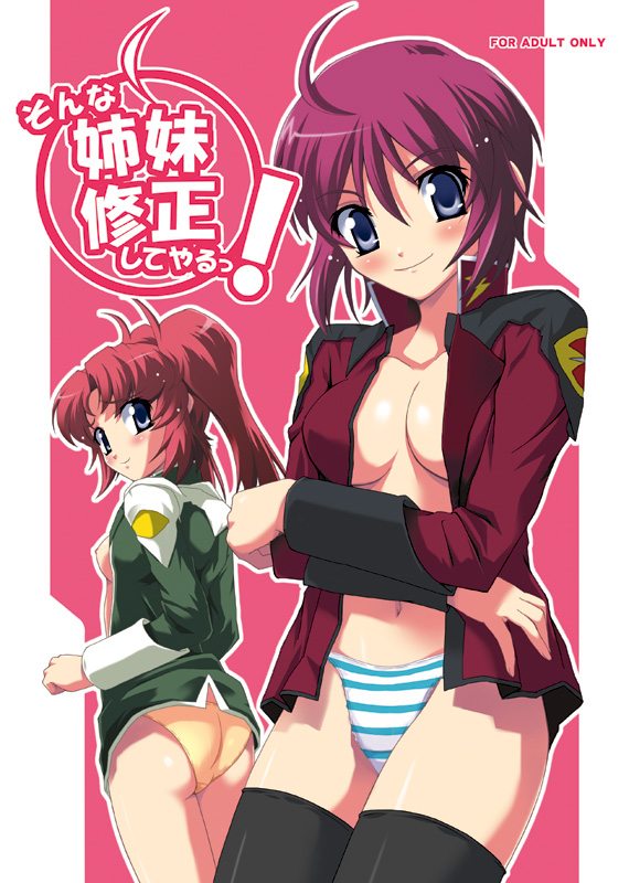 lunamaria hawke and meyrin hawke (gundam and 2 more) drawn by nippori
