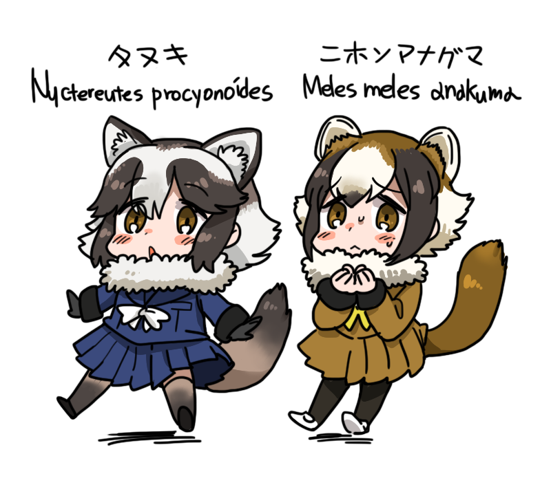 tanuki and japanese badger (kemono friends) drawn by anyan_(jooho)