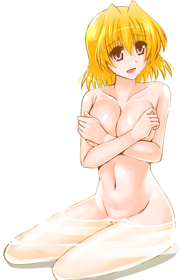 shamal (lyrical nanoha and 2 more) drawn by engo_(aquawatery)