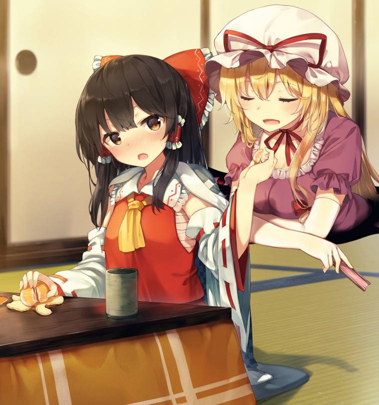 hakurei reimu and yakumo yukari (touhou) drawn by shnva