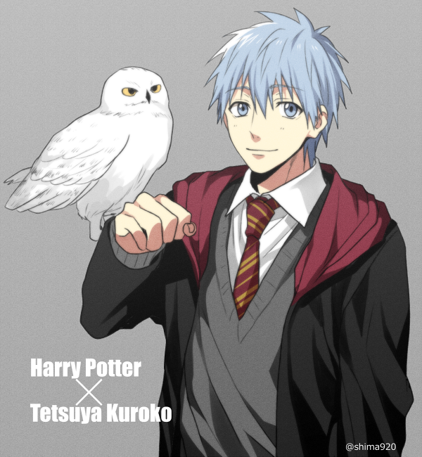 kuroko tetsuya and hedwig (wizarding world and 2 more) drawn by mashima_shima