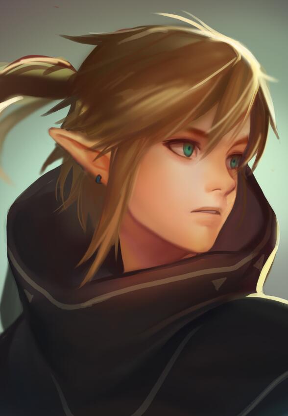 link (the legend of zelda and 1 more) drawn by mimme_(haenakk7)