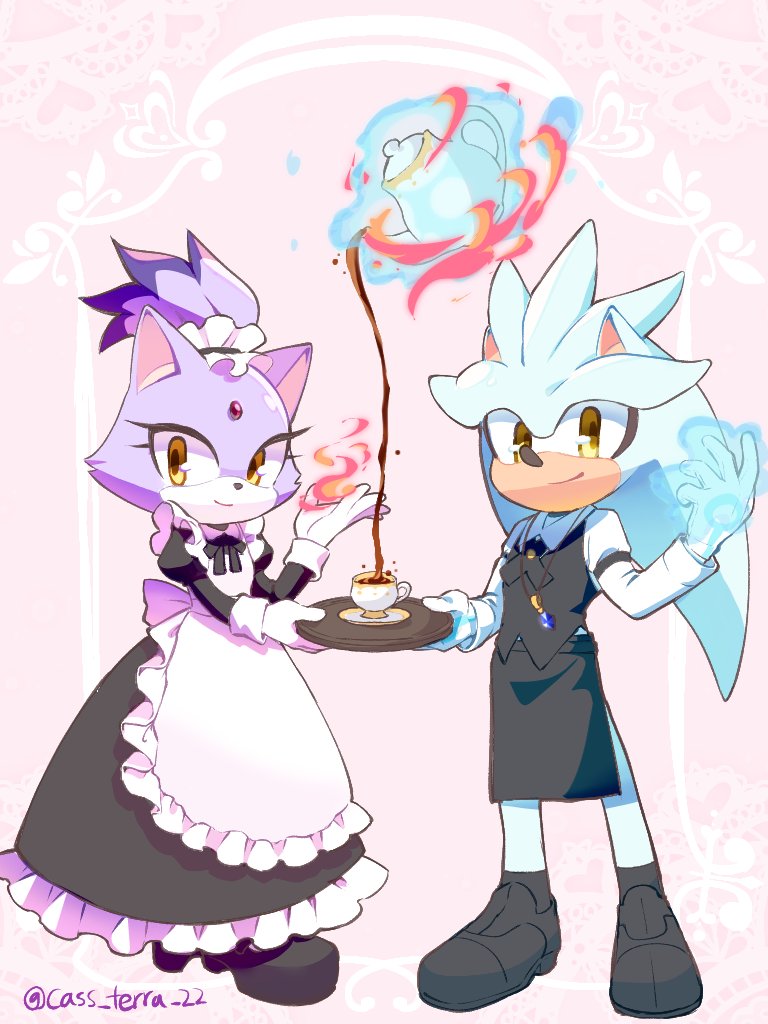 blaze the cat and silver the hedgehog (sonic and 1 more) drawn by cass_terra_22