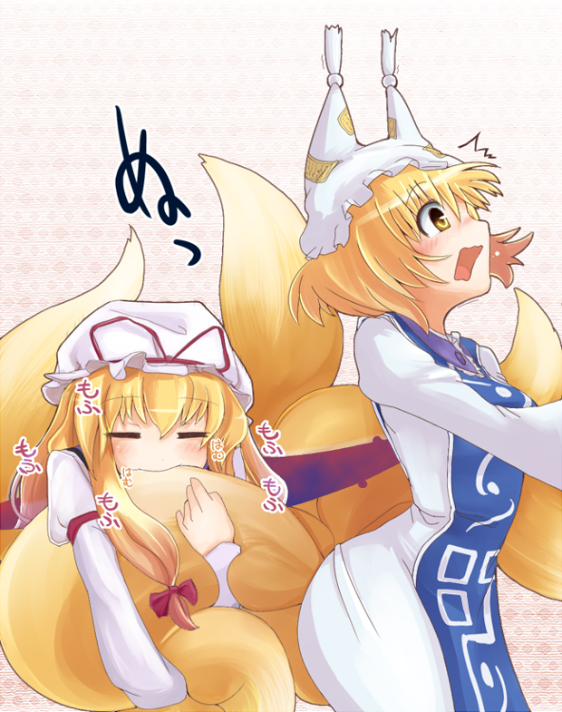 yakumo yukari and yakumo ran (touhou) drawn by nijou_katame