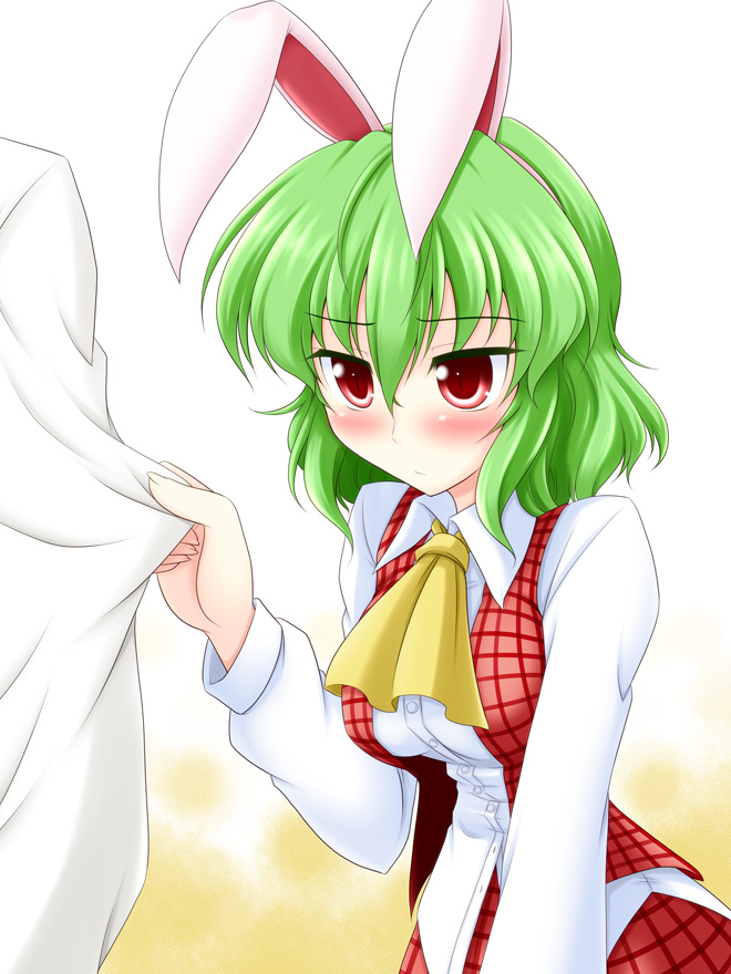 kazami yuuka (touhou) drawn by bococho