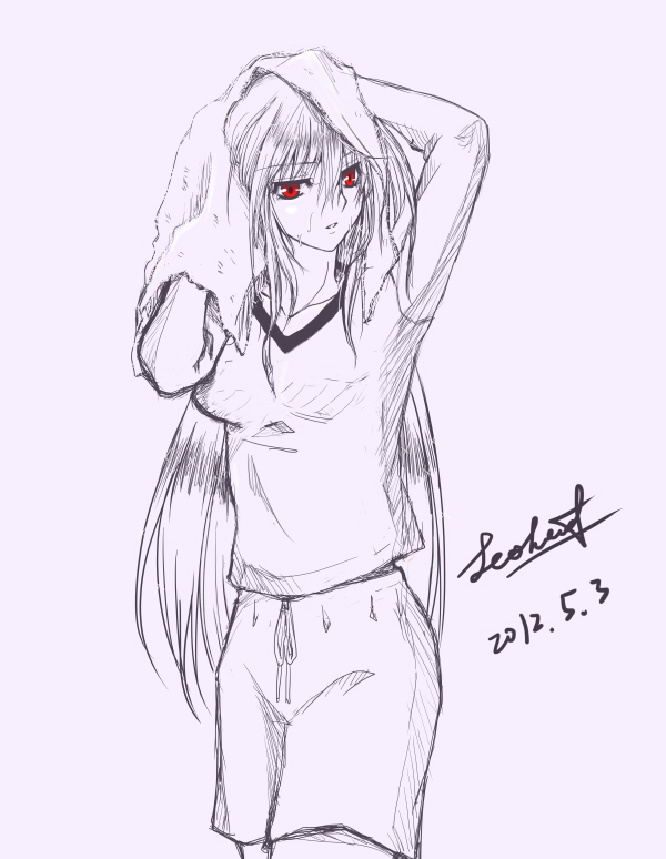 reinforce (lyrical nanoha and 2 more) drawn by leoheart