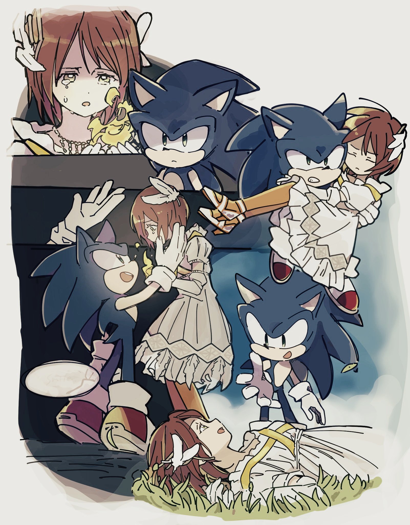 LukCan on X: Sonic the Hedgehog carrying Princess Elise the