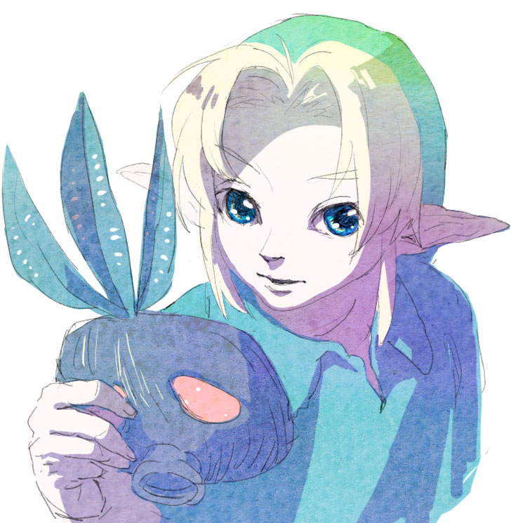 link (the legend of zelda and 1 more) drawn by mutti_(stamm)