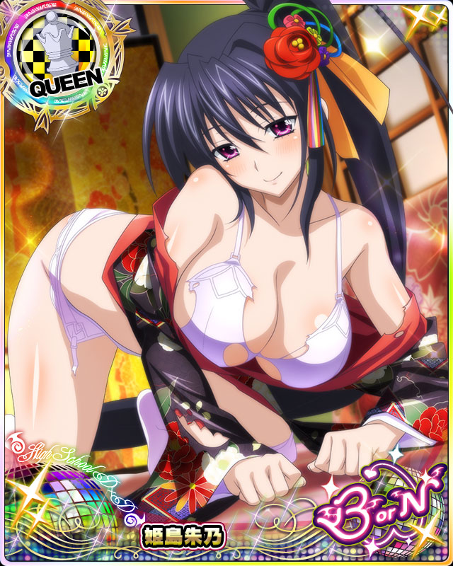 himejima akeno (high school dxd and 1 more)