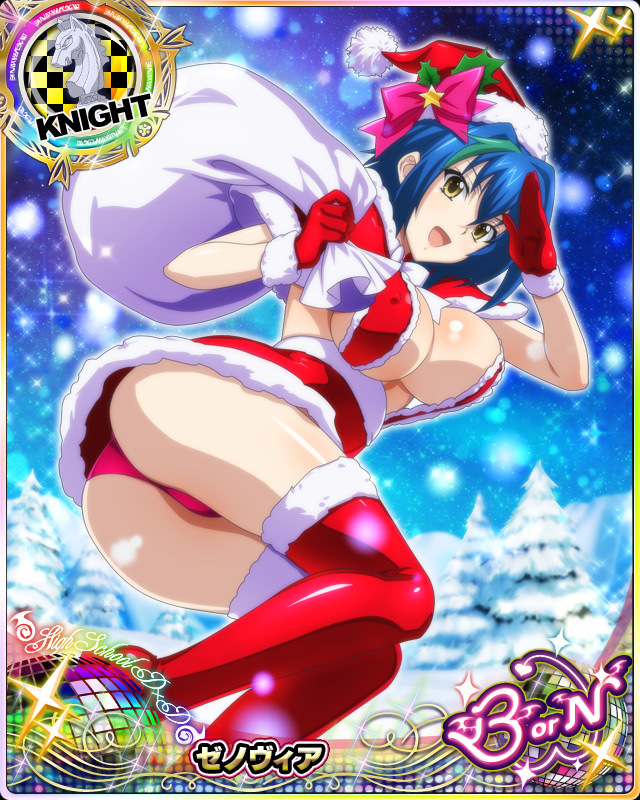 xenovia quarta (high school dxd and 1 more)