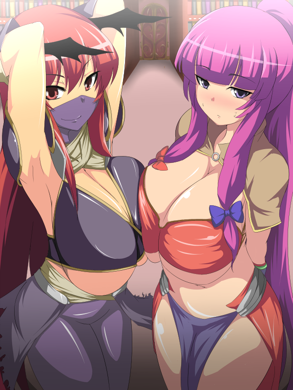 patchouli knowledge, koakuma, mage, and assassin (touhou and 1 more) drawn by ky.