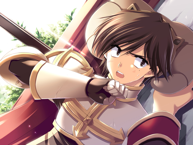 priest and lord knight (ragnarok online) drawn by odawara_hakone