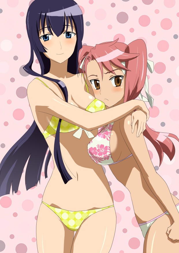 busujima saeko and takagi saya (highschool of the dead) drawn by komatsu_(sakanae)