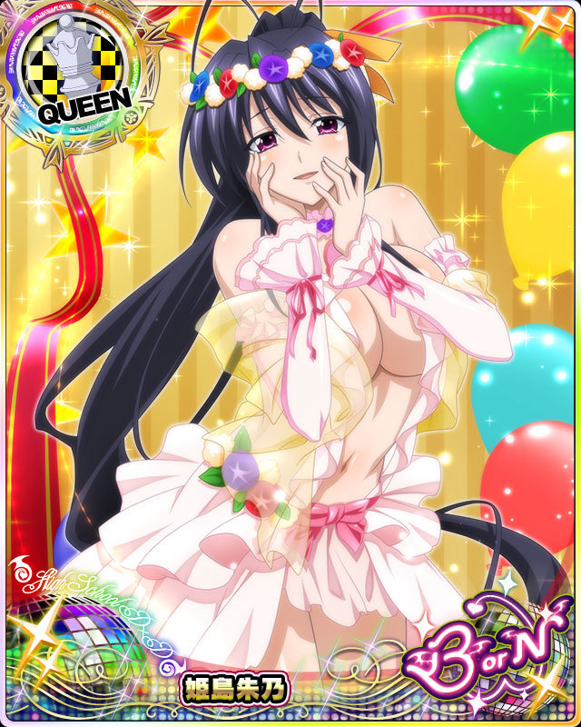 himejima akeno (high school dxd and 1 more)