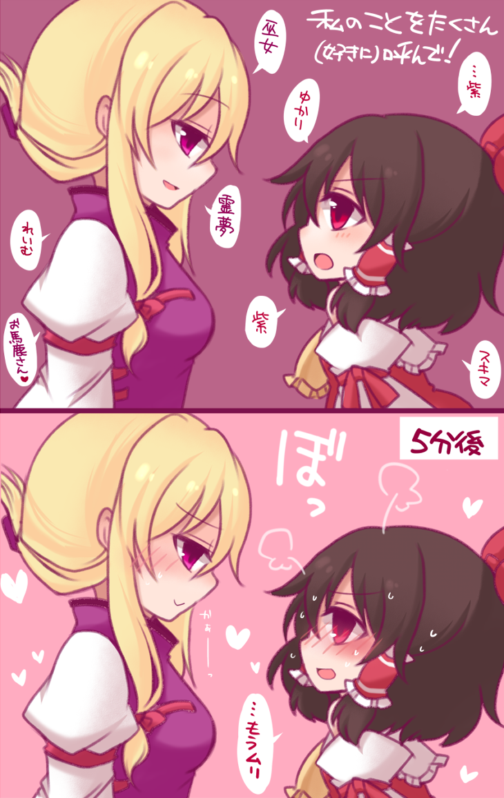hakurei reimu and yakumo yukari (touhou) drawn by shiohachi