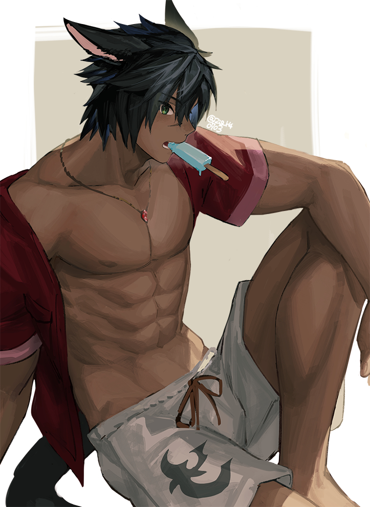 warrior of light (final fantasy and 1 more) drawn by mn_(zig_r14)
