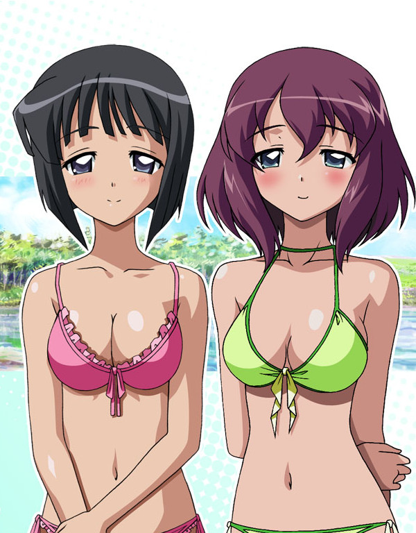 siesta and henrietta de tristain (zero no tsukaima and 1 more)