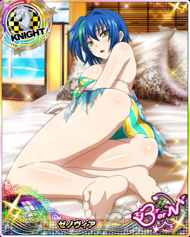 xenovia quarta (high school dxd and 1 more)