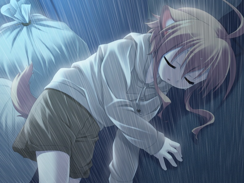 mikan (wanko to kurasou) drawn by mizuki_kotora