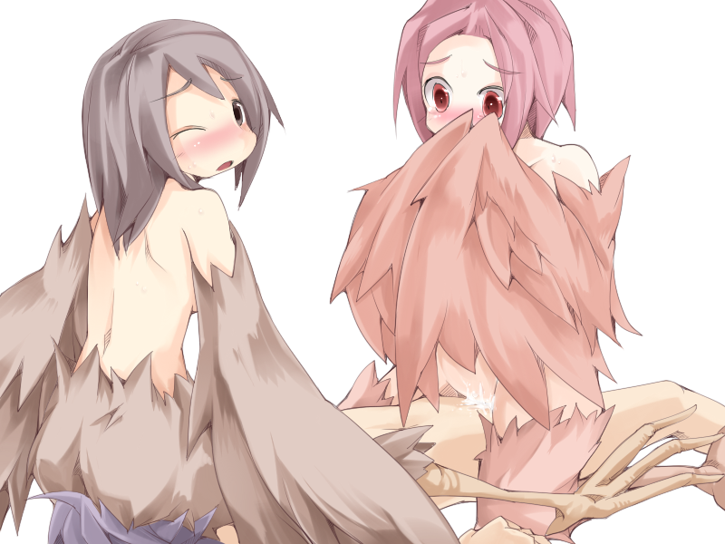 luka, pina, and pii (mon-musu quest!) drawn by frfr