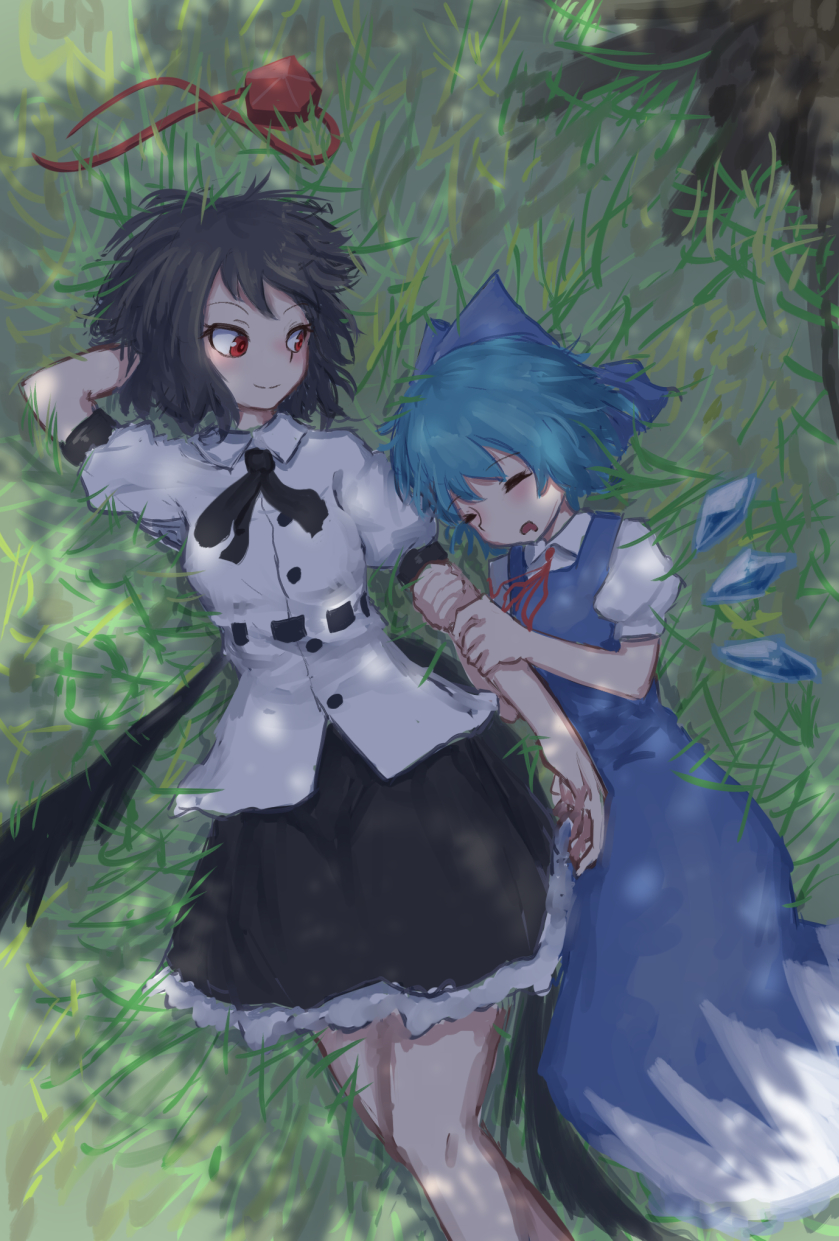 cirno and shameimaru aya (touhou) drawn by roke_(taikodon)