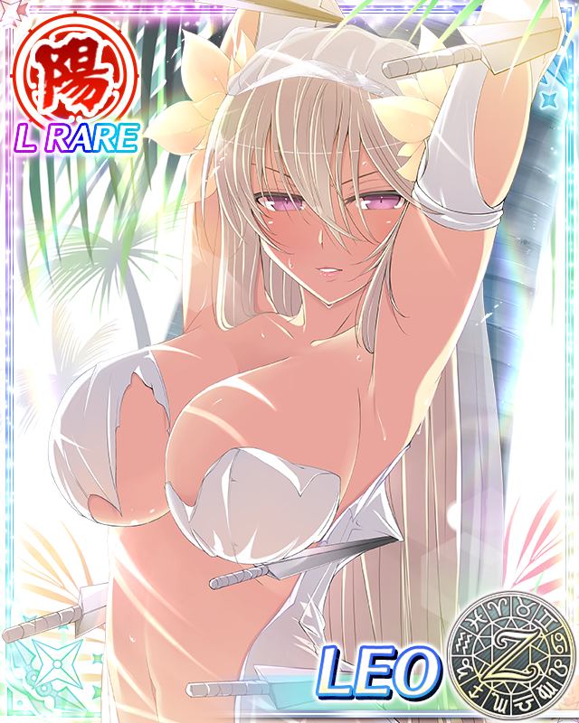 leo (senran kagura and 1 more) drawn by yaegashi_nan