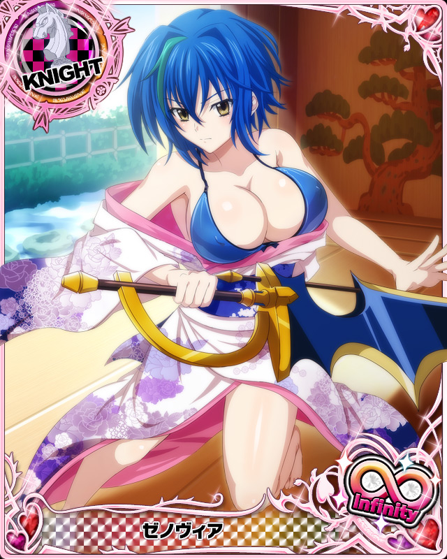 xenovia quarta (high school dxd and 1 more)