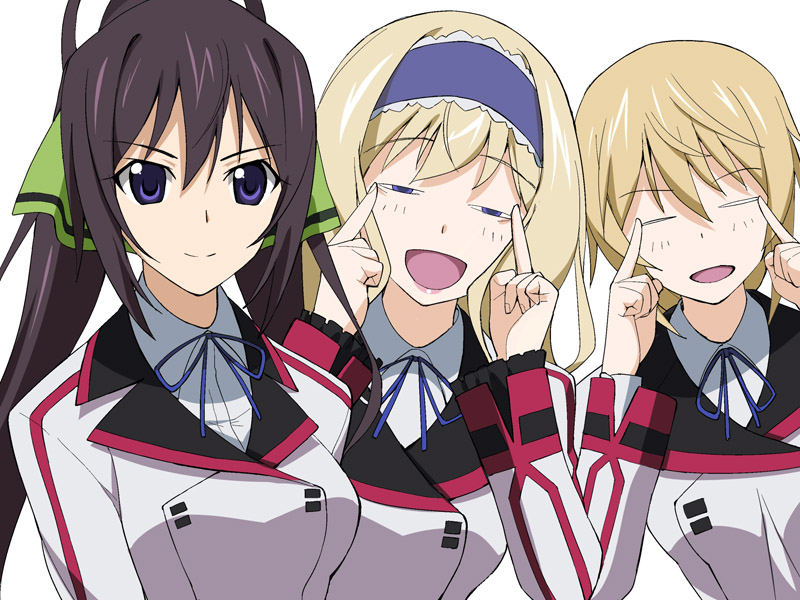 charlotte dunois, cecilia alcott, and shinonono houki (infinite stratos) drawn by a1_(initial-g)