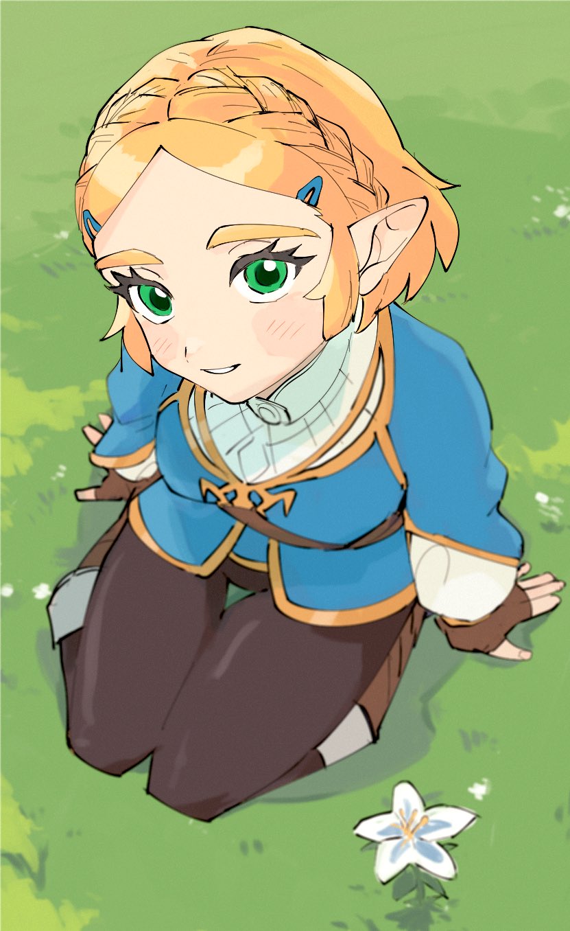 princess zelda (the legend of zelda and 1 more) drawn by yamori_(yamoooon21)