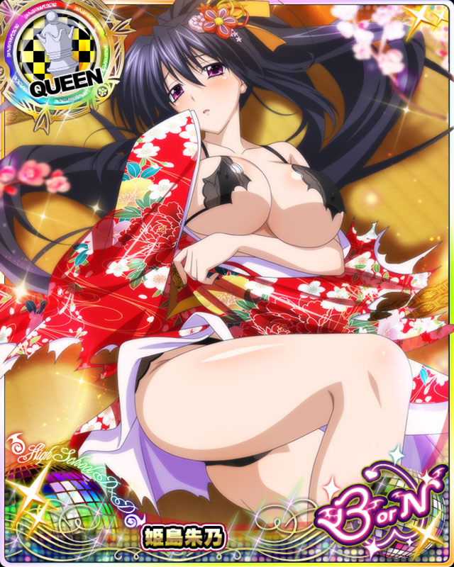 himejima akeno (high school dxd and 1 more)