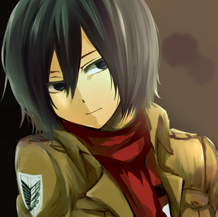 mikasa ackerman (shingeki no kyojin) drawn by komainu_(ma-media)
