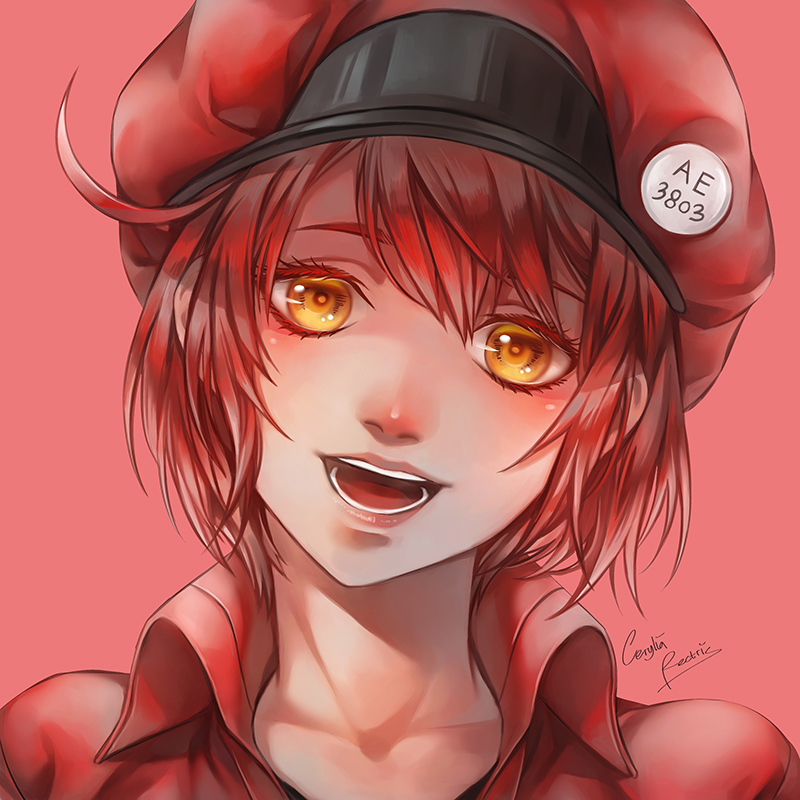 red blood cell (hataraku saibou) drawn by cerylia_rectris
