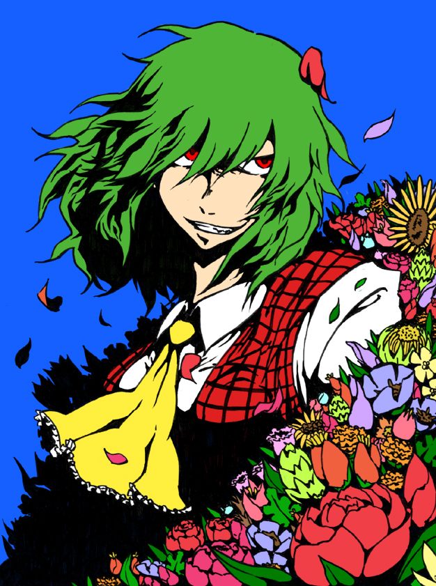 kazami yuuka (touhou) drawn by tori_(hiyoko_bazooka)