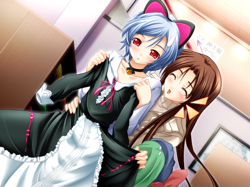 sakakibara kukuri and tsutsumi ao (tokidoki sugar) drawn by masaharu