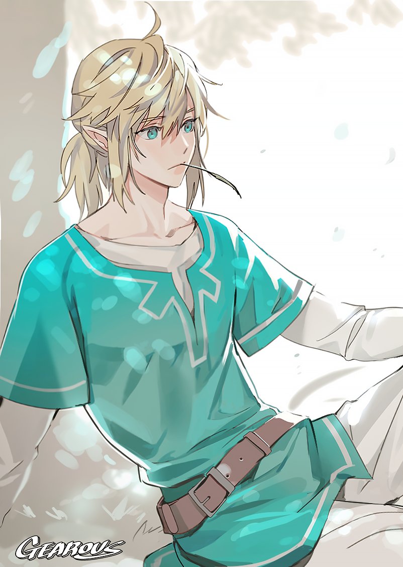 link (the legend of zelda and 1 more) drawn by gearous