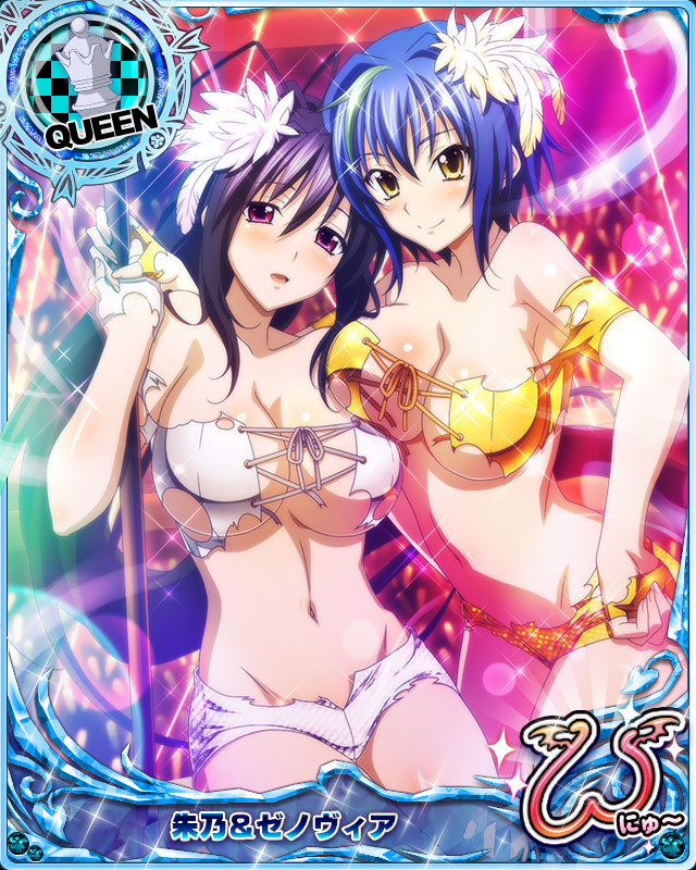 himejima akeno and xenovia quarta (high school dxd and 1 more)
