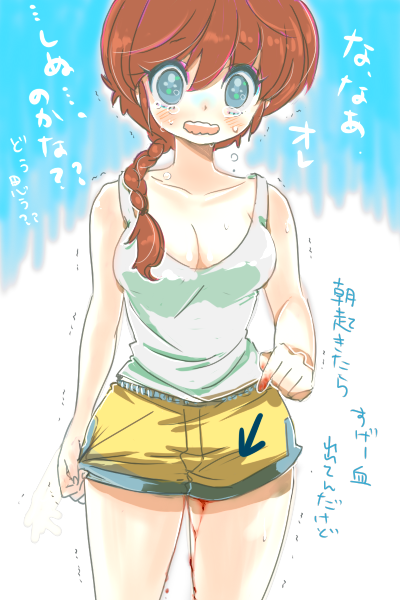 ranma-chan (ranma 1/2) drawn by hoshino_lala