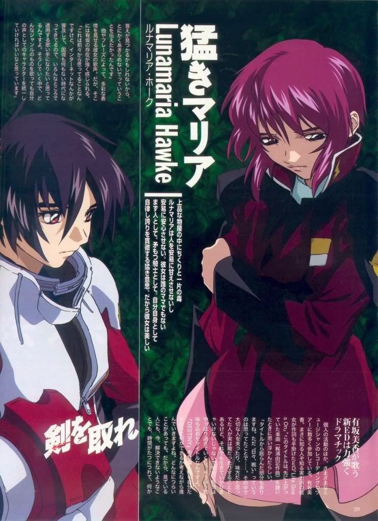 lunamaria hawke and shinn asuka (gundam and 2 more)
