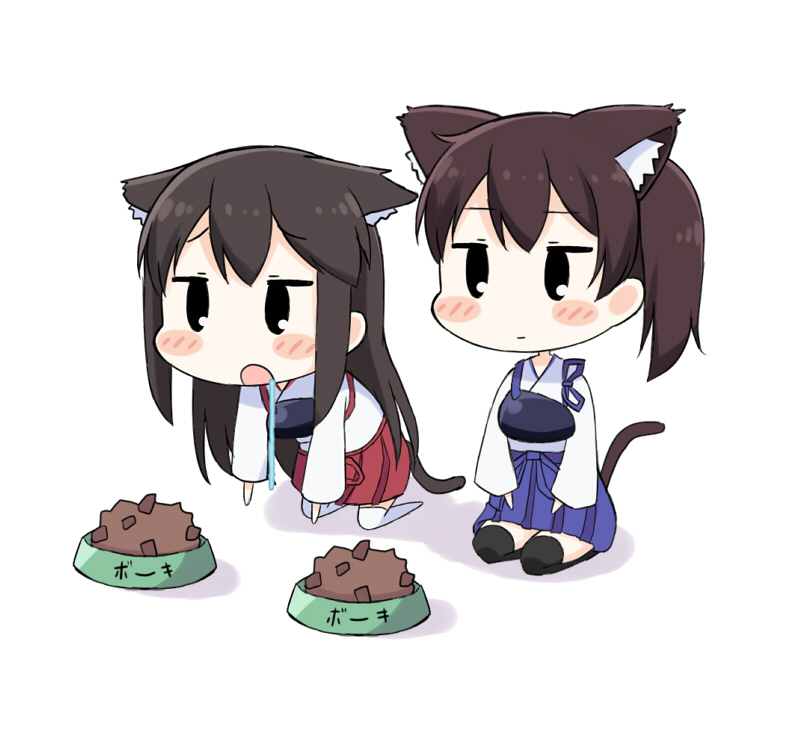 kaga and akagi (kantai collection) drawn by kurono_nekomaru