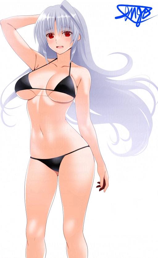 reinforce (lyrical nanoha and 1 more) drawn by engo_(aquawatery)