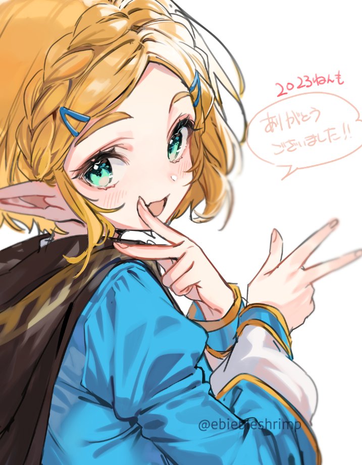 princess zelda (the legend of zelda and 1 more) drawn by shuri_(84k)