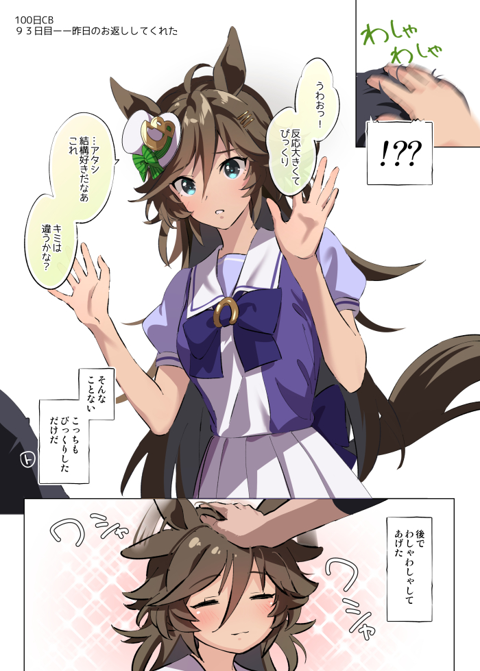 trainer and mr. c.b. (umamusume) drawn by taromarun