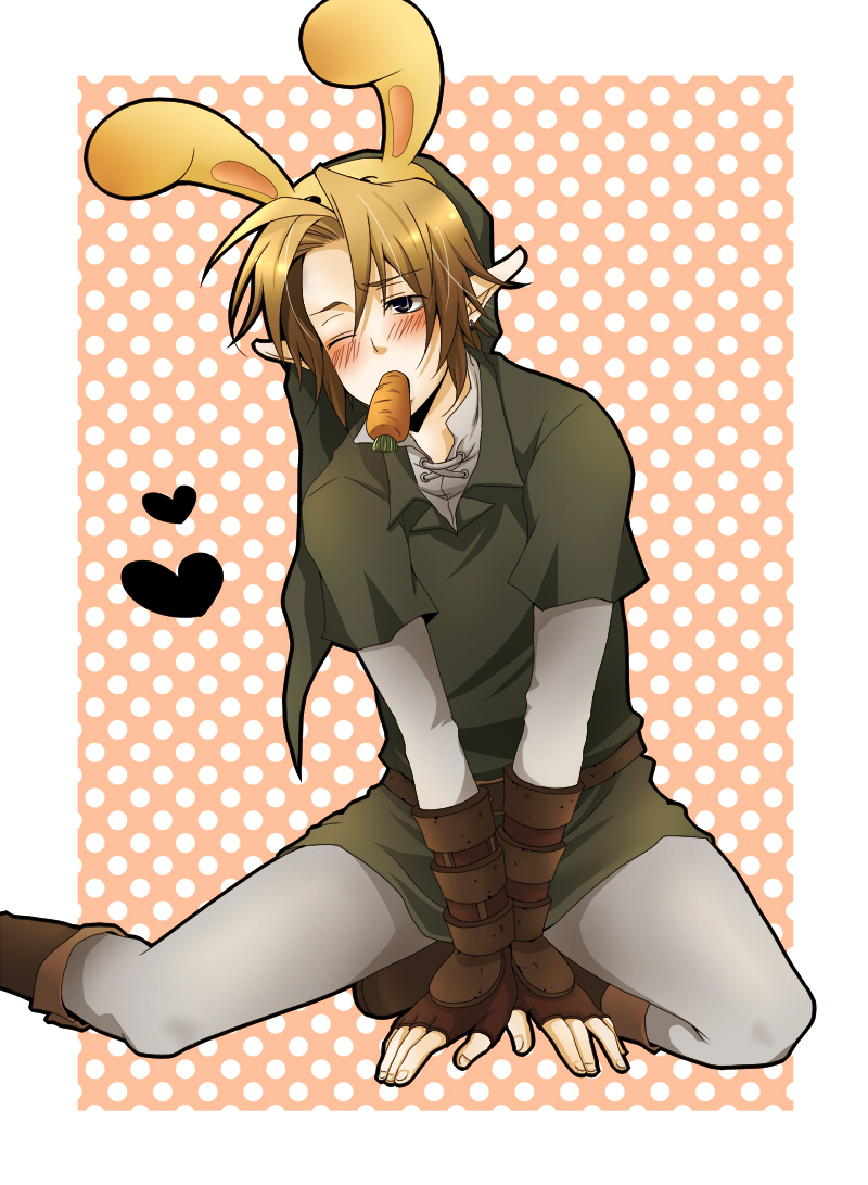 link (the legend of zelda and 1 more) drawn by mashima_shima