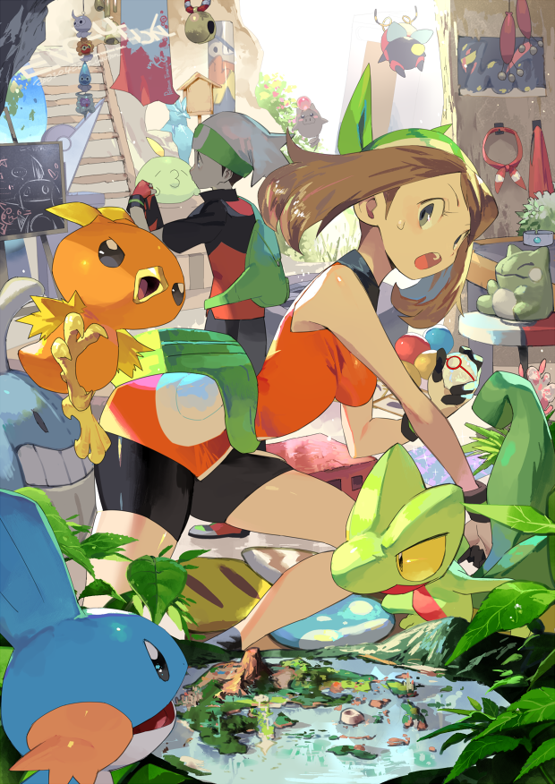 may, brendan, torchic, mudkip, treecko, and 10 more (pokemon and 2 more) drawn by e_volution
