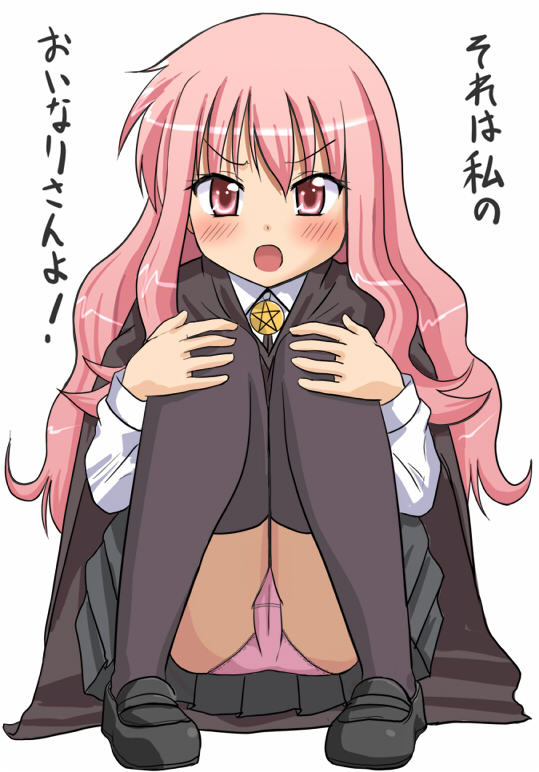 louise francoise le blanc de la valliere (zero no tsukaima) drawn by segirl